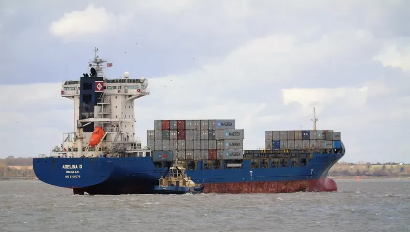 ADELINA D Container Ship IMO 9306079 photo 10