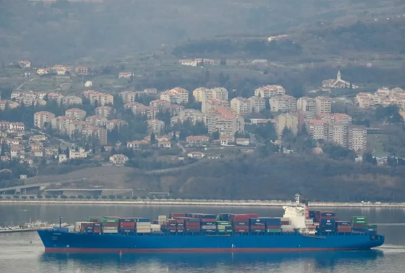 RDO CONCEPTION Container Ship IMO 9306158