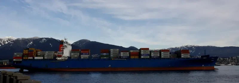 MAERSK PUELO Container Ship IMO 9306172 photo 9
