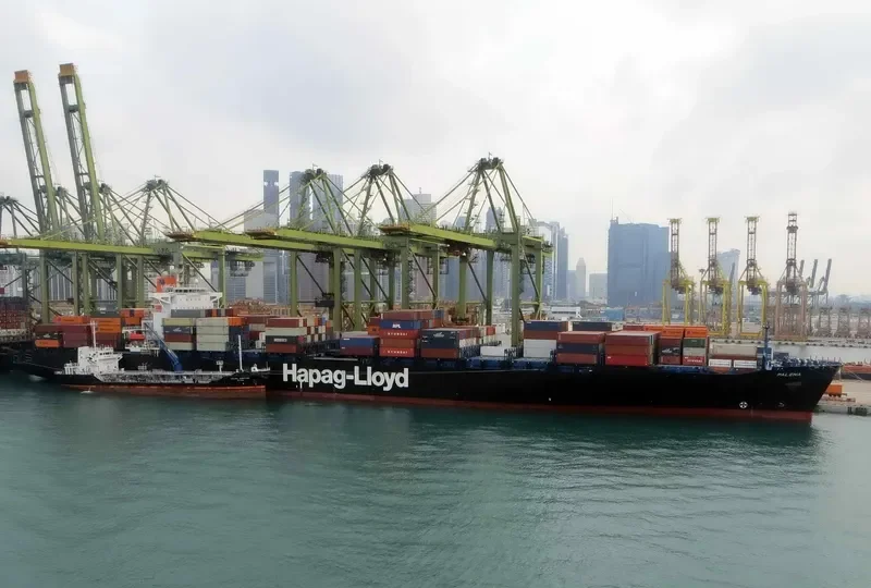 PALENA Container Ship IMO 9306196 photo 2