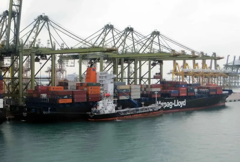 PALENA Container Ship IMO 9306196 photo 3