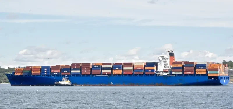 PALENA Container Ship IMO 9306196 photo 6