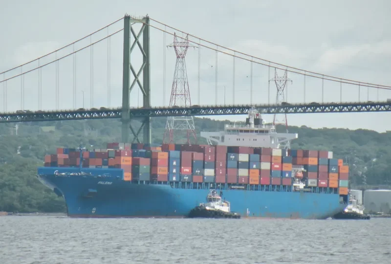 PALENA Container Ship IMO 9306196 photo 7