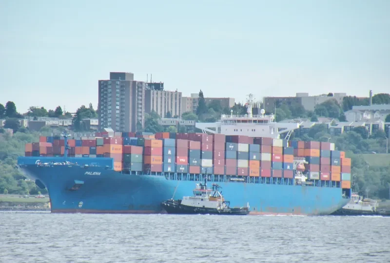PALENA Container Ship IMO 9306196 photo 8