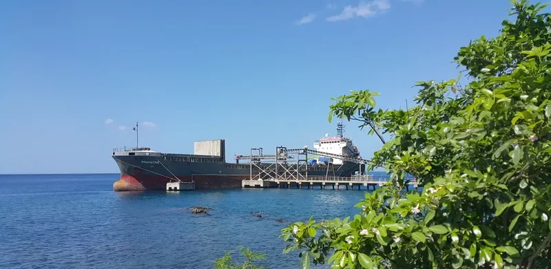 MANISA SILVANA General Cargo IMO 9306316 photo 3
