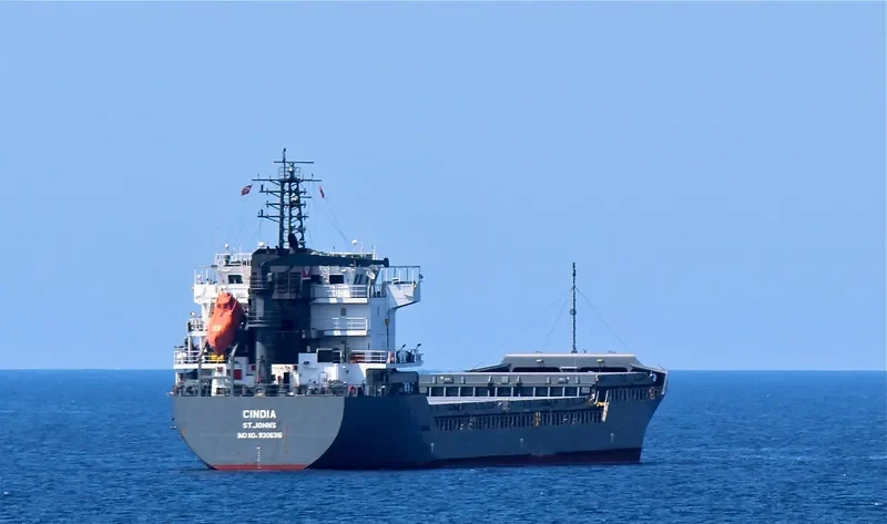 MANISA SILVANA General Cargo IMO 9306316 photo 4