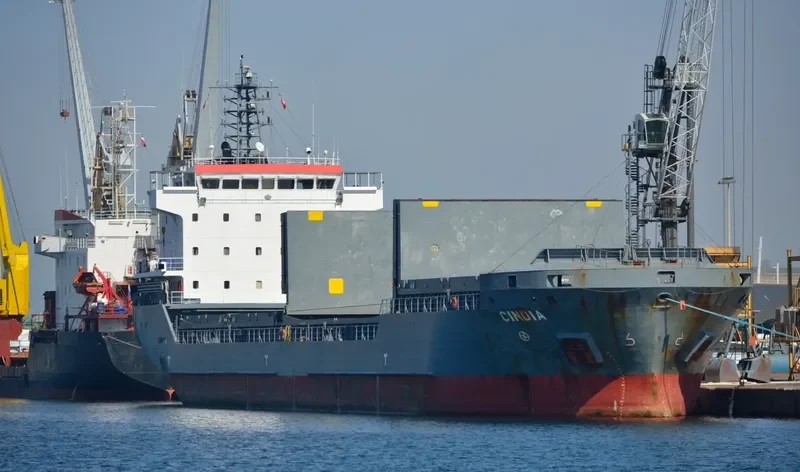 MANISA SILVANA General Cargo IMO 9306316 photo 5