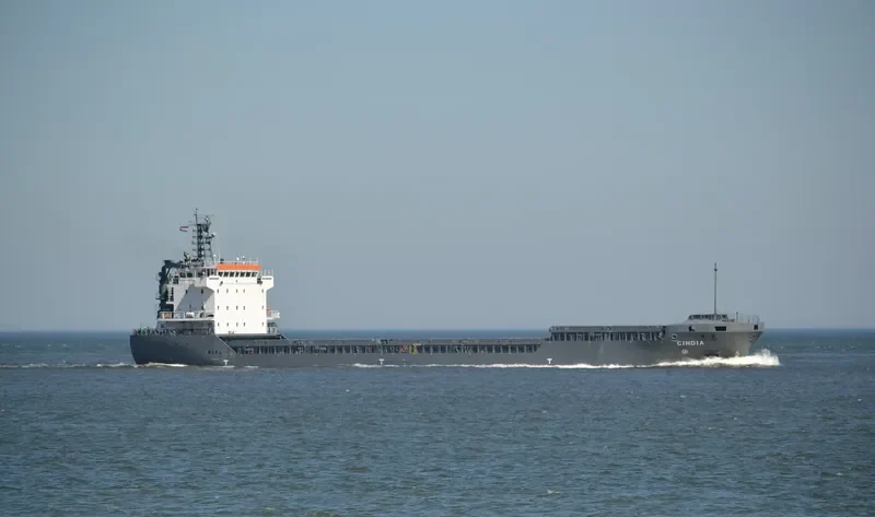 MANISA SILVANA General Cargo IMO 9306316 photo 10