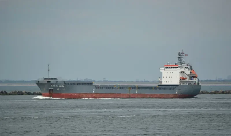 IRENA General Cargo IMO 9306380 photo 10