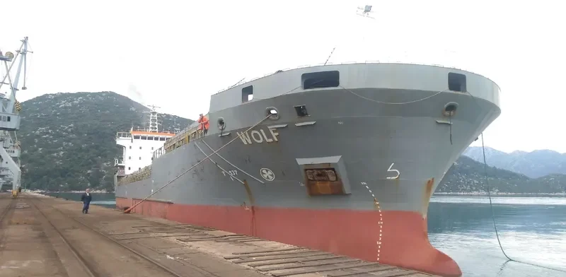 WOLF General Cargo IMO 9306407