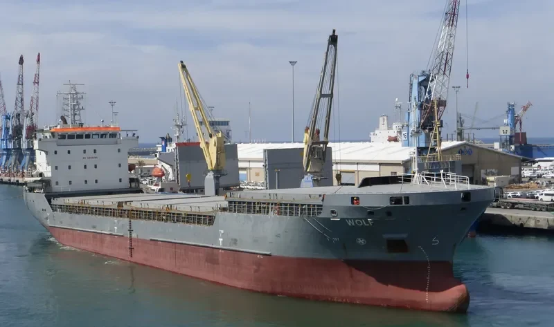 WOLF General Cargo IMO 9306407 photo 5