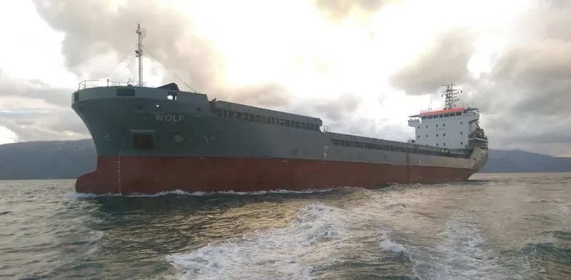 WOLF General Cargo IMO 9306407 photo 6
