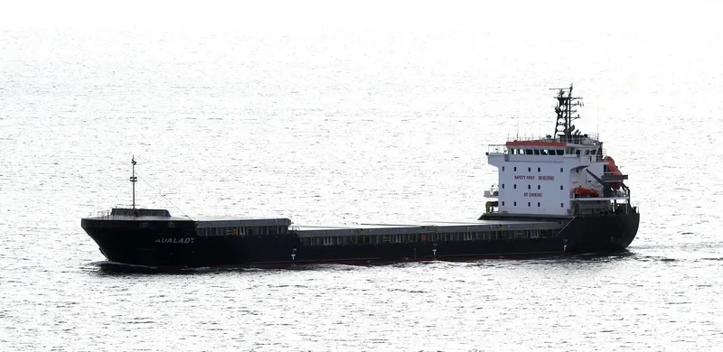 ADALADY General Cargo IMO 9306421 photo 4