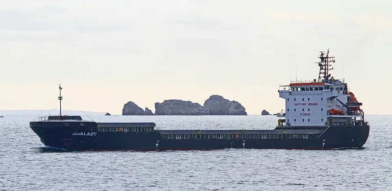 ADALADY General Cargo IMO 9306421 photo 6