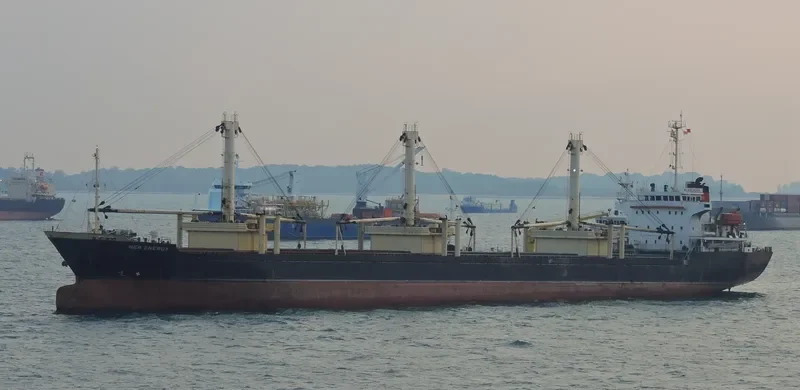 NEW ENERGY General Cargo IMO 9306524