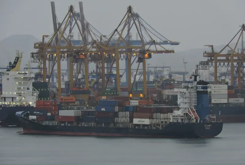 VEGA VELA Container Ship IMO 9306823 photo 4