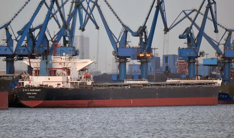 C H S HARVEST Bulk Carrier IMO 9307061