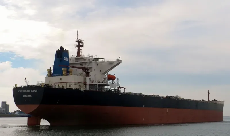 C H S MAGNIFICENCE Bulk Carrier IMO 9307073 photo 2