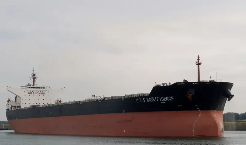 C H S MAGNIFICENCE Bulk Carrier IMO 9307073 photo 3
