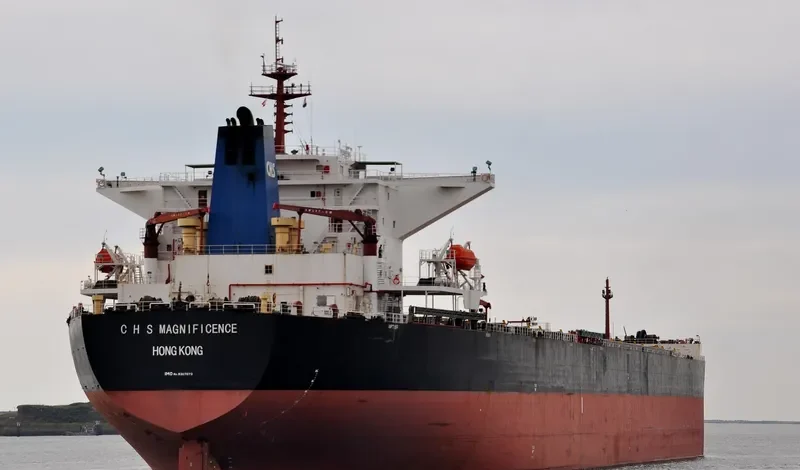 C H S MAGNIFICENCE Bulk Carrier IMO 9307073 photo 4
