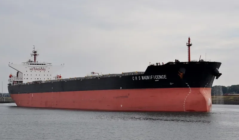C H S MAGNIFICENCE Bulk Carrier IMO 9307073 photo 5