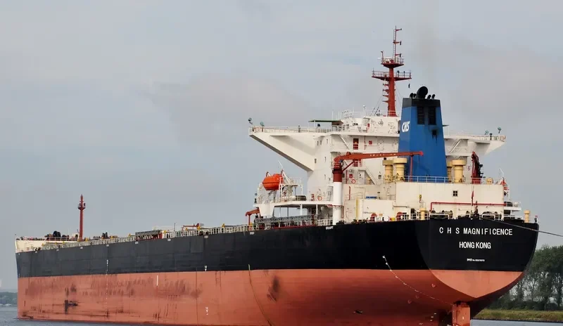 C H S MAGNIFICENCE Bulk Carrier IMO 9307073 photo 6