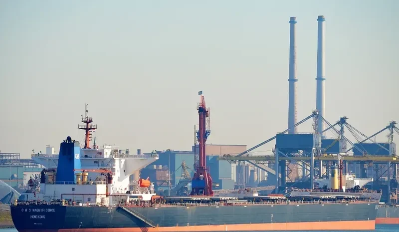 C H S MAGNIFICENCE Bulk Carrier IMO 9307073 photo 10
