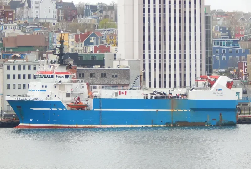 BELLE CARNELL General Cargo IMO 9307114