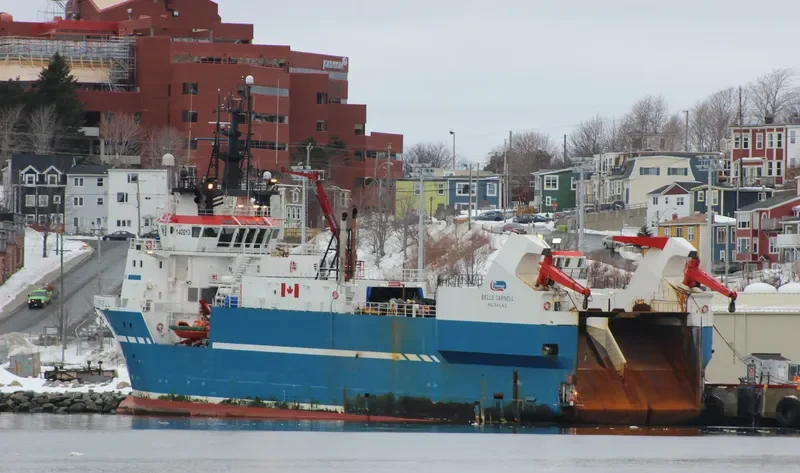 BELLE CARNELL General Cargo IMO 9307114 photo 2
