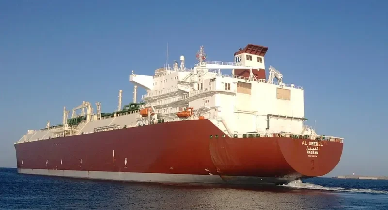 AL DEEBEL General Cargo IMO 9307176 photo 3
