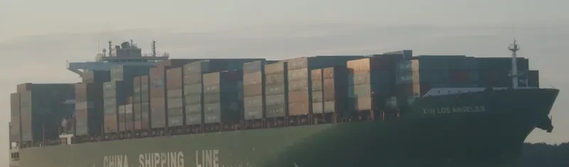 XIN LOS ANGELES Container Ship IMO 9307217 photo 5