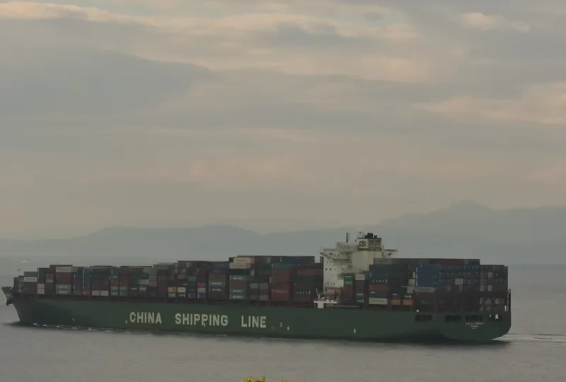 XIN LOS ANGELES Container Ship IMO 9307217 photo 9