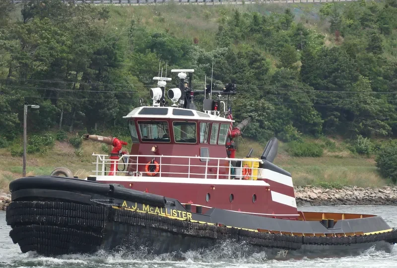 A.J.MCALLISTER General Cargo IMO 9307293 photo 10
