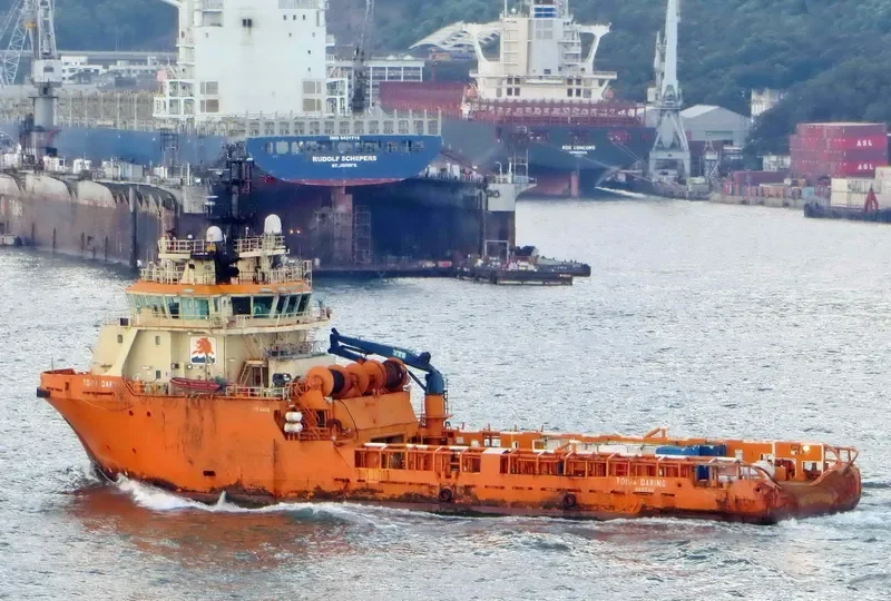 TC QUEEN Offshore Vessel IMO 9307310 photo 3