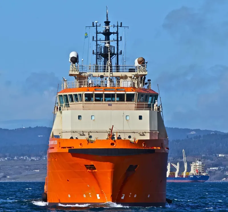 TOISA DAUNTLESS Offshore Vessel IMO 9307322 photo 2