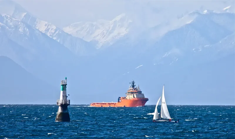 TOISA DAUNTLESS Offshore Vessel IMO 9307322 photo 9