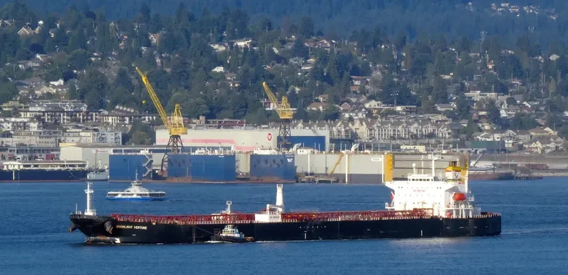 TAVROPOS Tanker IMO 9307334 photo 3