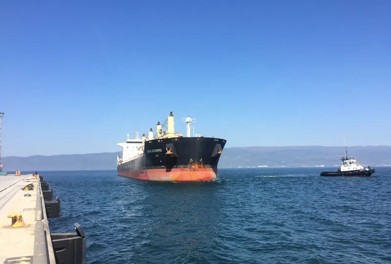 SPAR SCORPIO Bulk Carrier IMO 9307578 photo 8