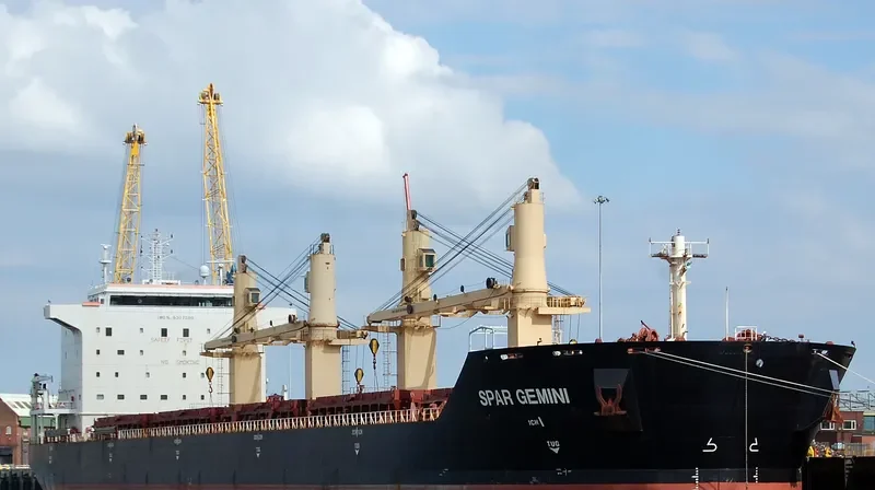 SPAR GEMINI Bulk Carrier IMO 9307580 photo 2