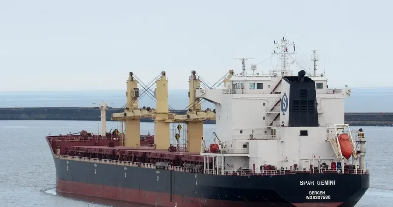 SPAR GEMINI Bulk Carrier IMO 9307580 photo 6