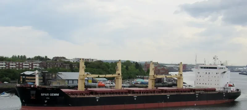 SPAR GEMINI Bulk Carrier IMO 9307580 photo 7