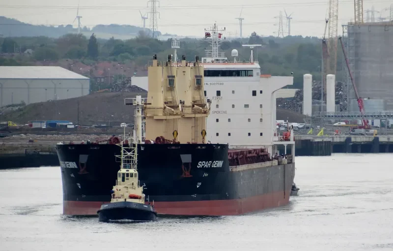 SPAR GEMINI Bulk Carrier IMO 9307580 photo 8