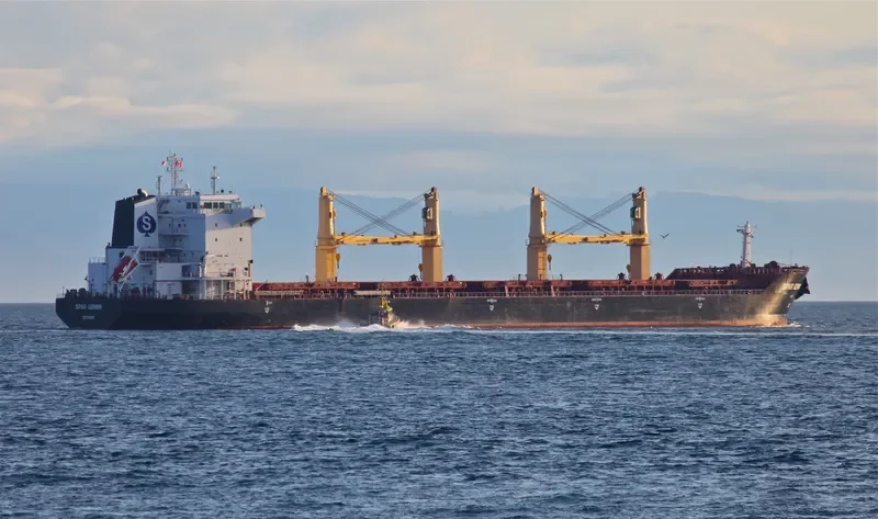 SPAR GEMINI Bulk Carrier IMO 9307580 photo 10