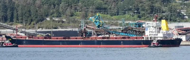 NANXIN ANGELA Bulk Carrier IMO 9307657 photo 3