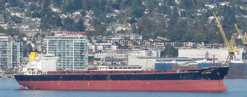 NANXIN ANGELA Bulk Carrier IMO 9307657 photo 4