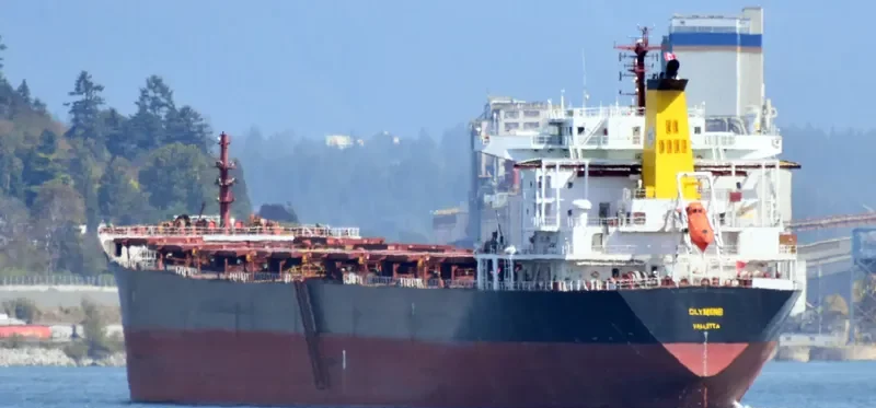 NANXIN ANGELA Bulk Carrier IMO 9307657 photo 6
