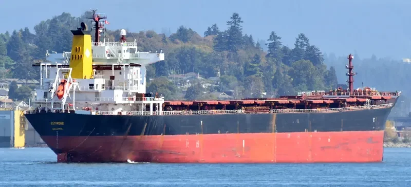NANXIN ANGELA Bulk Carrier IMO 9307657 photo 8