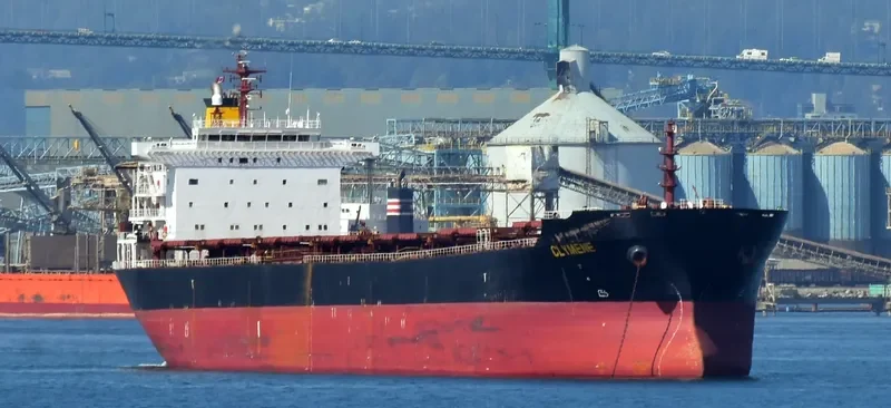 NANXIN ANGELA Bulk Carrier IMO 9307657 photo 9