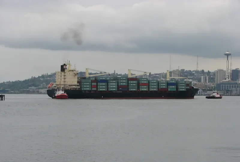 TIGER Container Ship IMO 9307841 photo 2