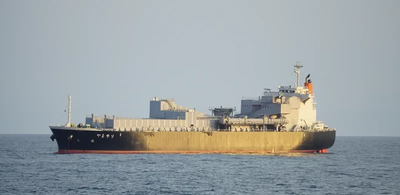YAMAYURI Bulk Carrier IMO 9307853